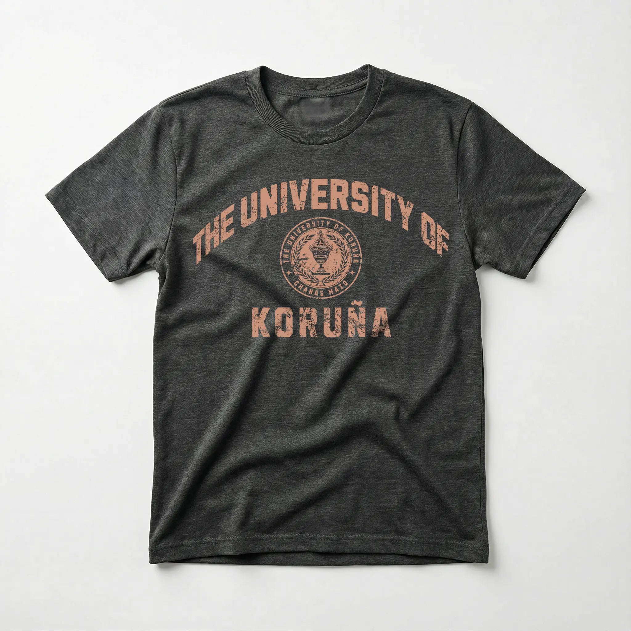 The University of Koruña