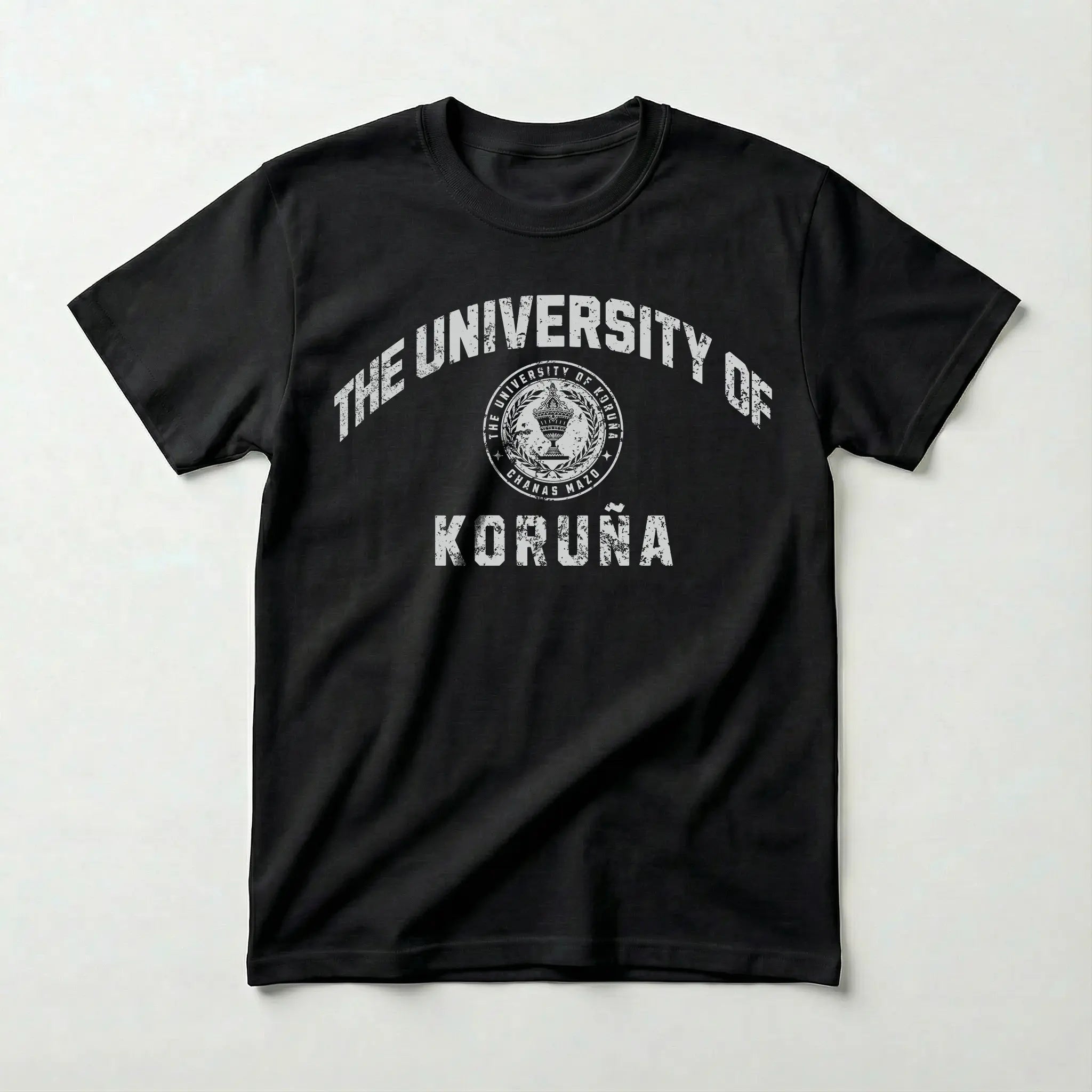 The University of Koruña