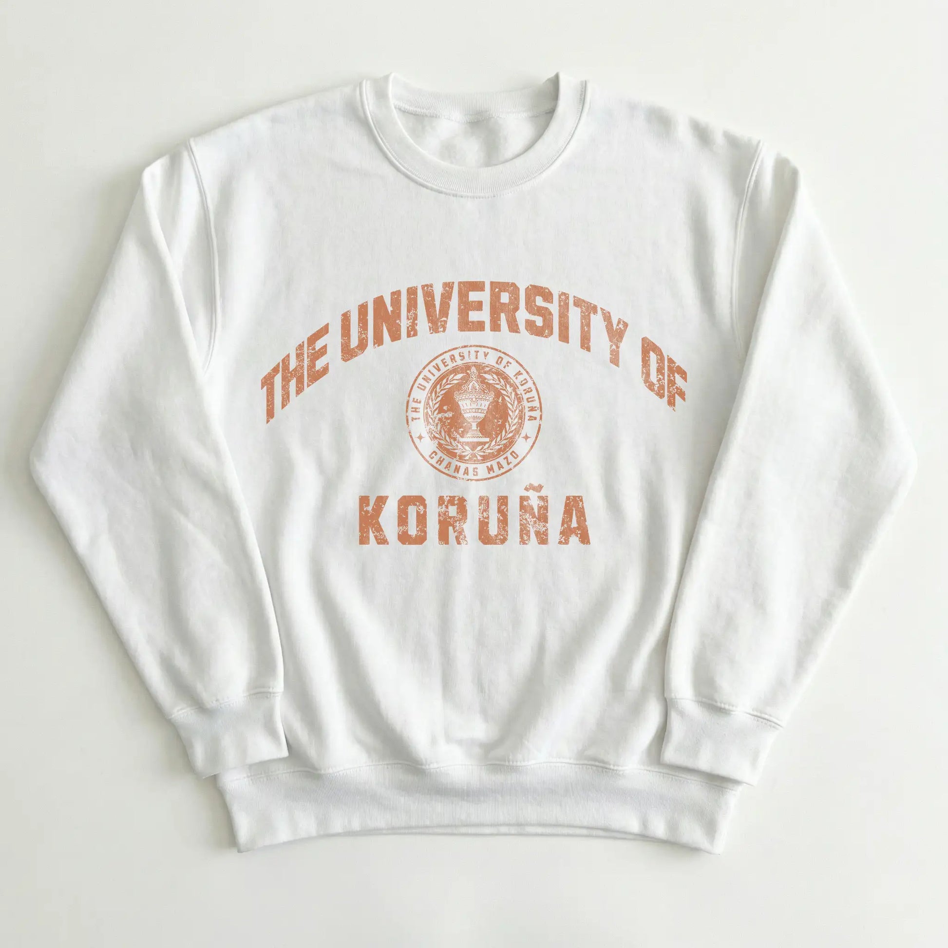 The University of Koruña – Chanas Mazo