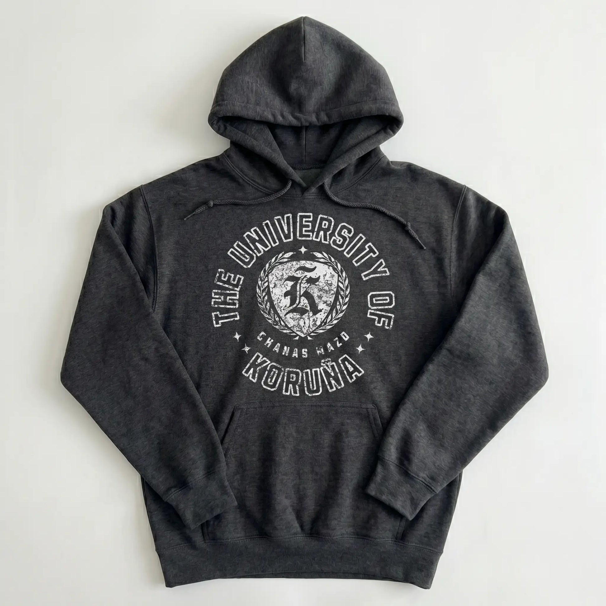 The University of Koruña