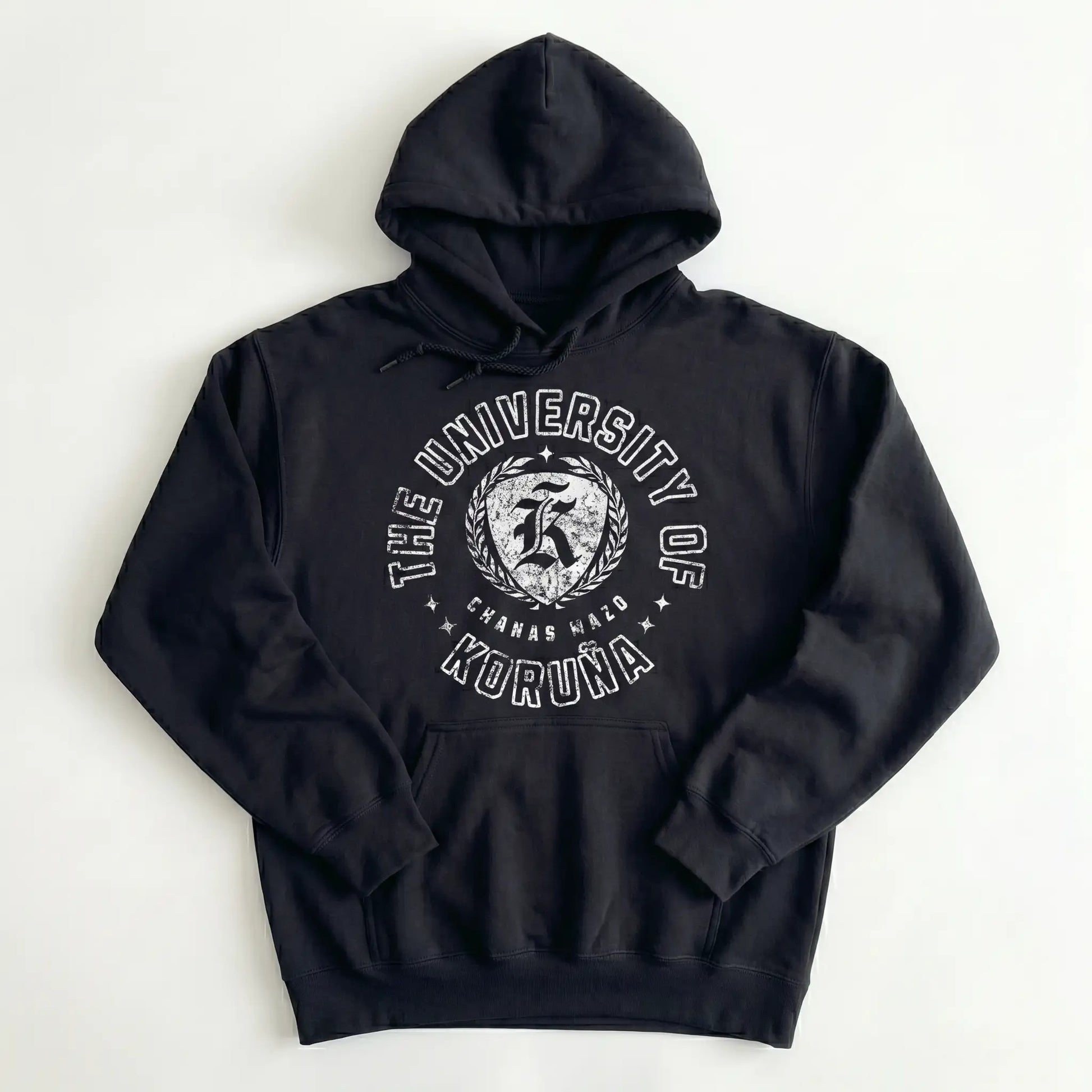 The University of Koruña