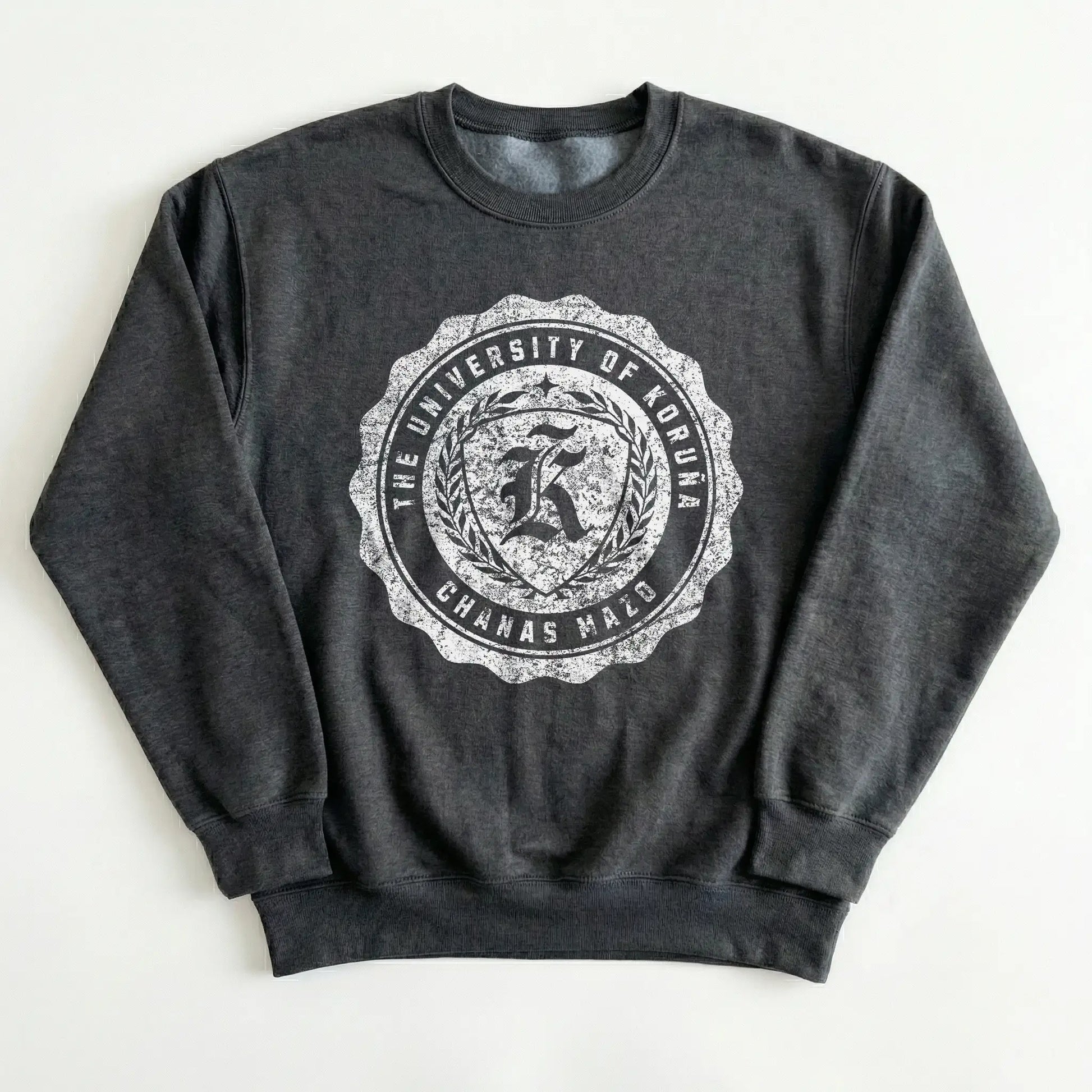 The University of Koruña